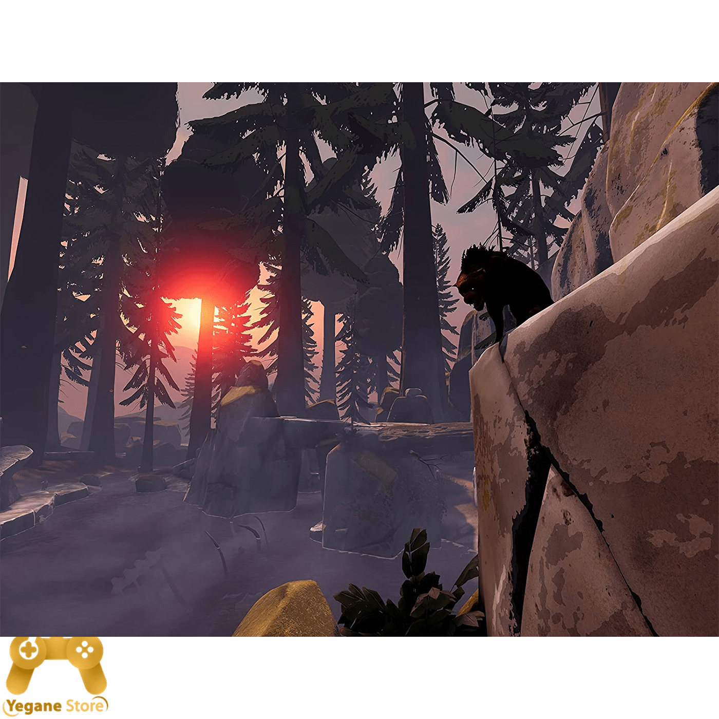 قیمت و خرید بازی Song in the Smoke Rekindled (PSVR2)
